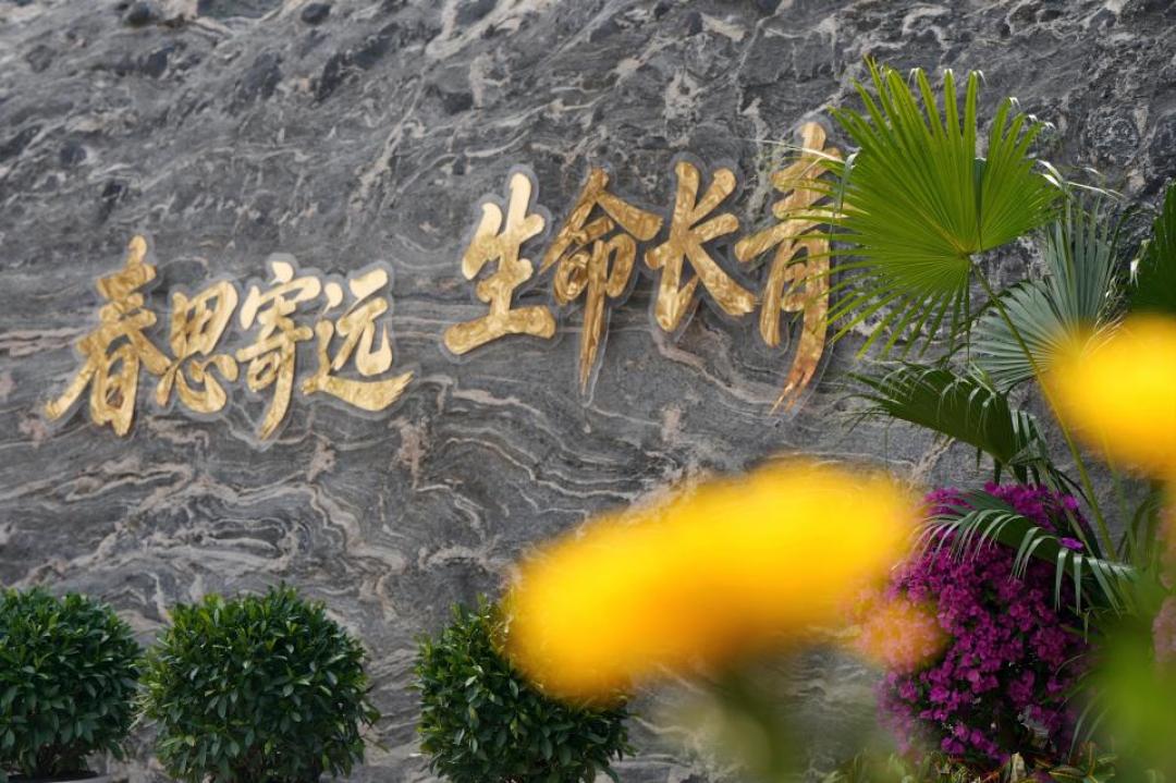 殡葬一条龙的套餐里，“入殓师的钱”其实只能殡仪馆收：新规元年的白事账本