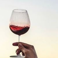 50块的葡萄酒比500块的葡萄酒，喝起来到底差在哪？