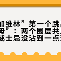 搜“乐加维林”第一个跳出来的是“族母”：两个圈层共用一个名字，威士忌没沾到一点流量
