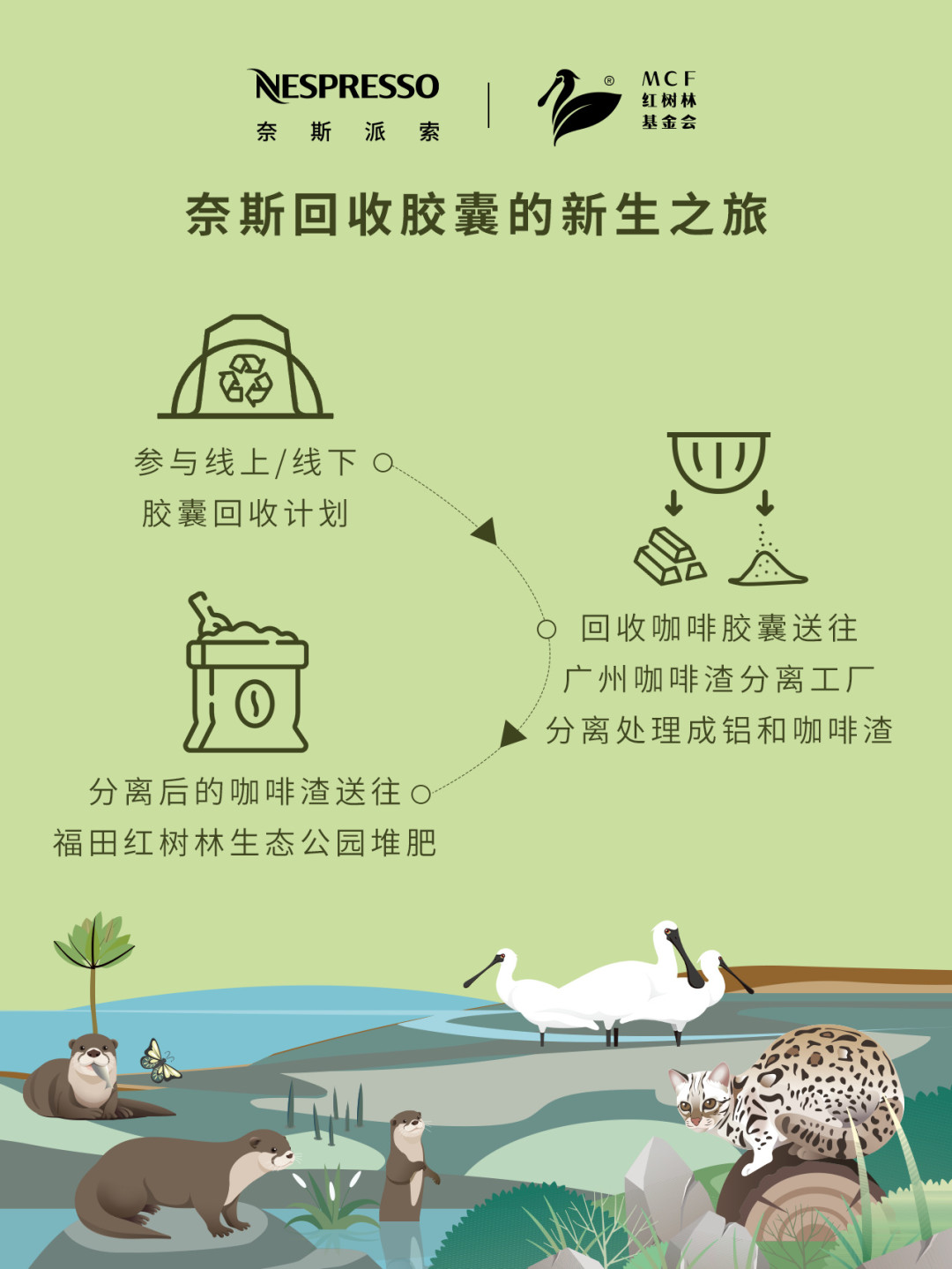用过的胶囊壳在家长绿毛:对完15篇回收帖和300多条评论,先算清“收、扔、改”三本账再谈双11囤胶囊