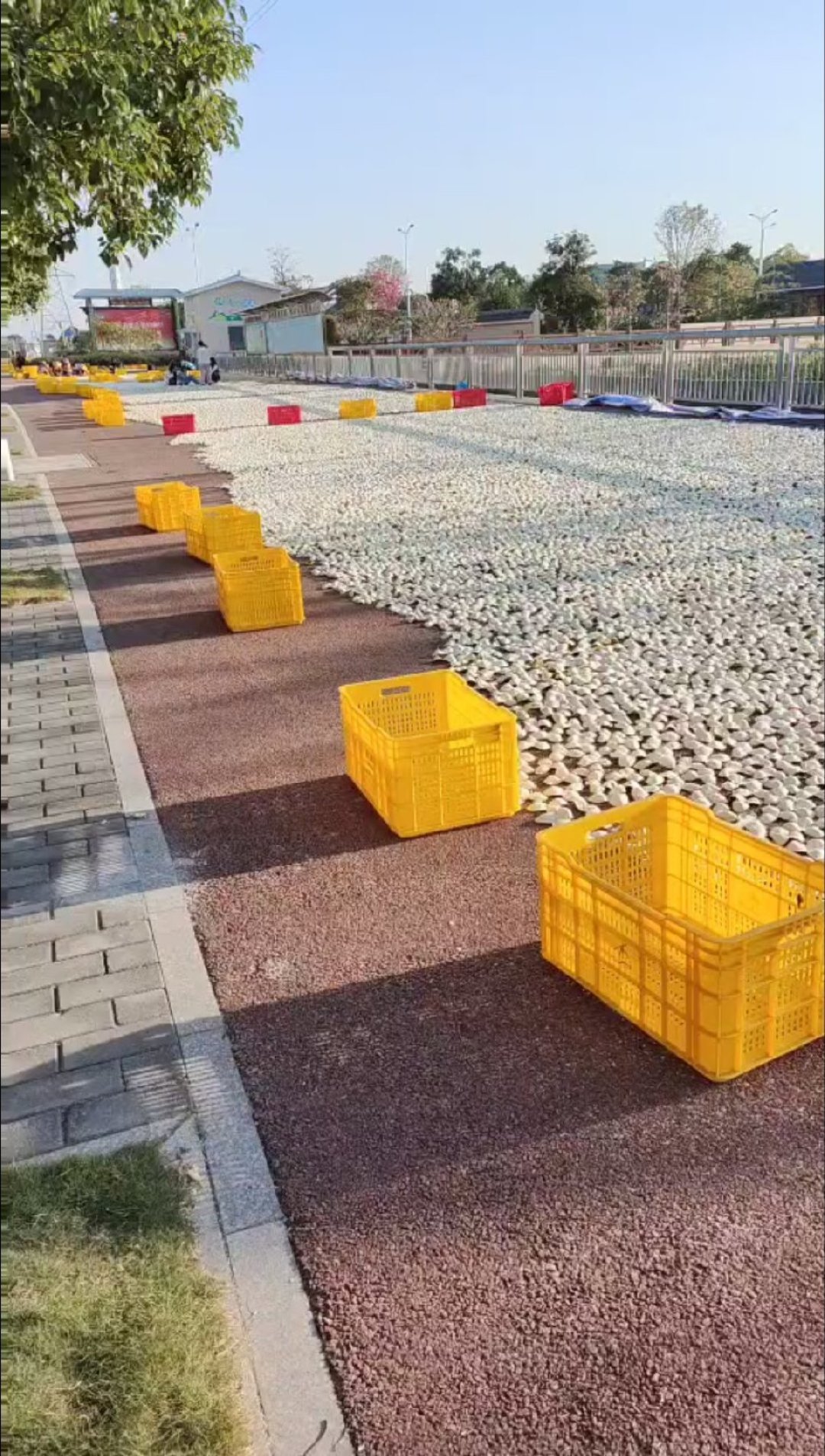 雷允上陈皮两年避雷贴，评论区吵了101条，吵的其实是一个