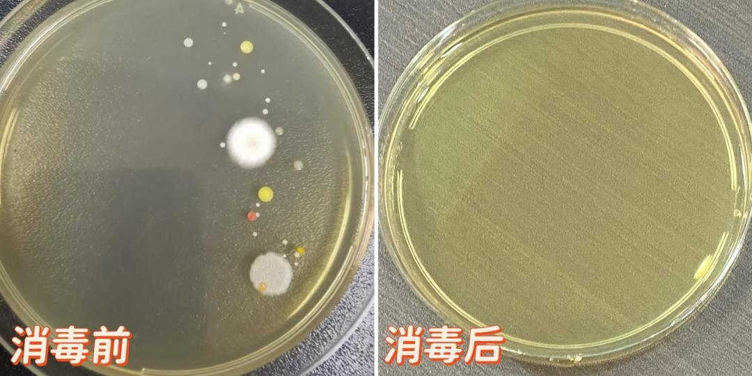 洗碗机吃灰不是洗不净，是等不起：老板消毒洗碗机45分钟治得好吗？