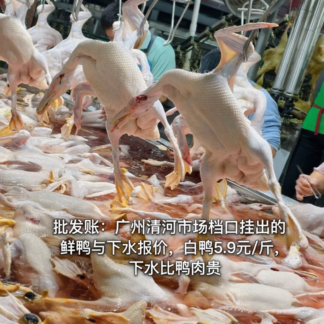 批发5块9、菜场15块、馆子258块：立冬第一口鸭下嘴前，肉食者先把这三笔