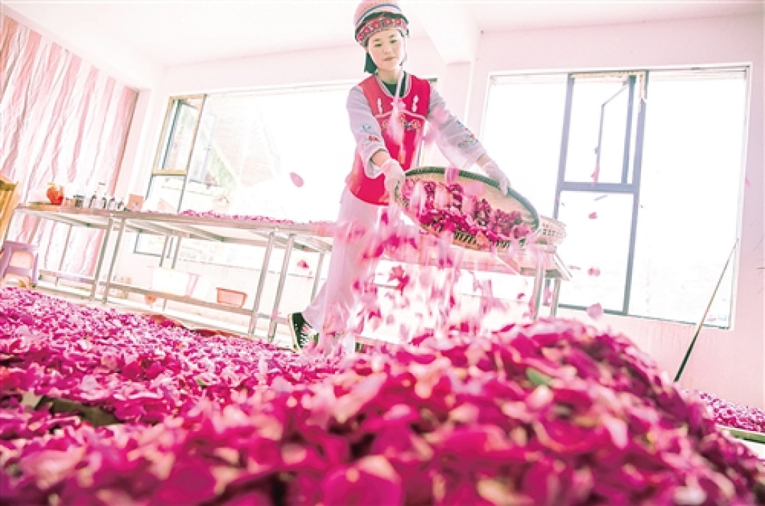 双11囤玫瑰花茶？先确认两件事：那朵花是玫瑰吗，那抹红是硫吗