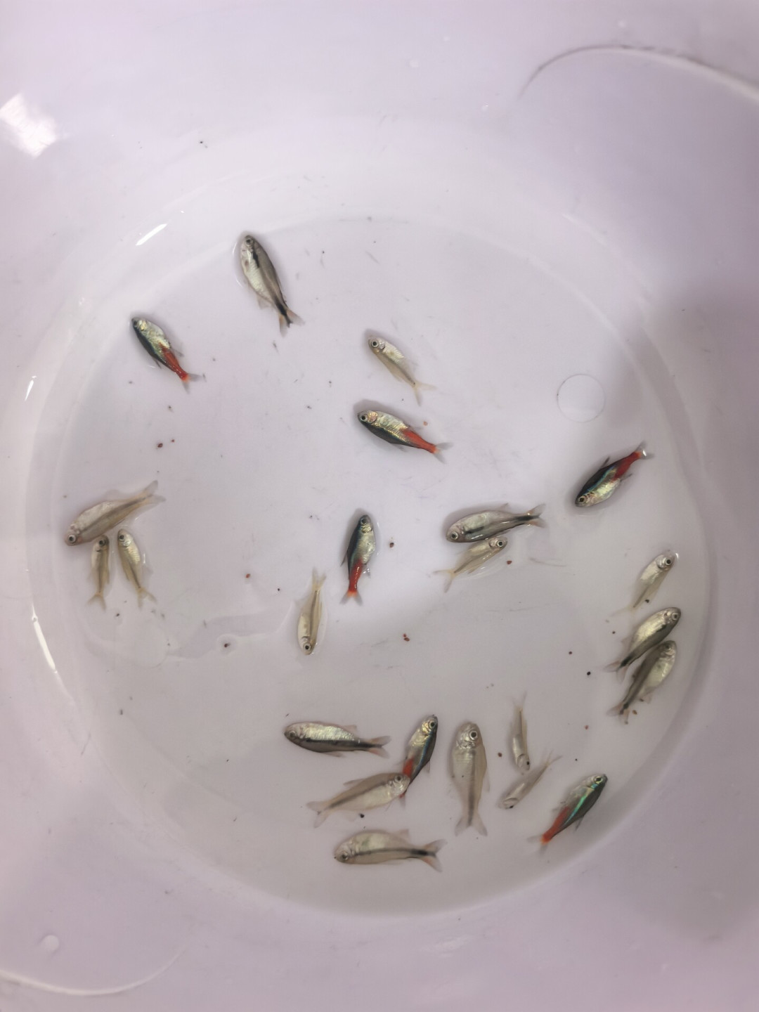 加热棒杀死你,靠的不是不加热,是不停加热:降温前把这4件事查一遍