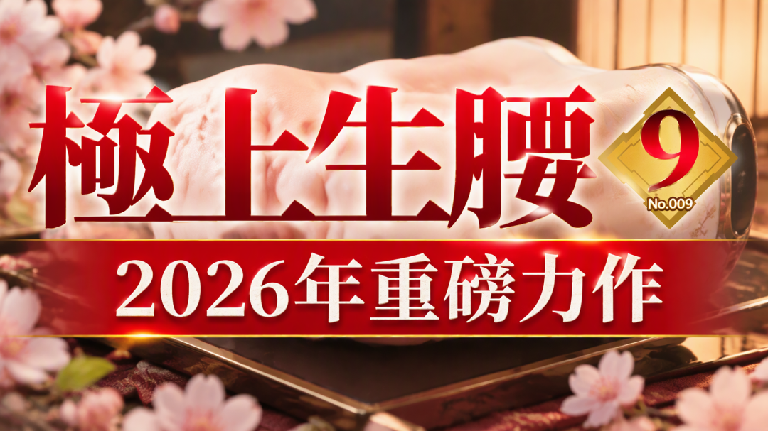 从两百到一千五都叫NPG，双11前先存下这张产品线地图