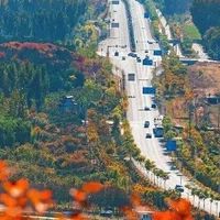 久坐上班族的氨糖选购思路：先看原料名称和标示口径