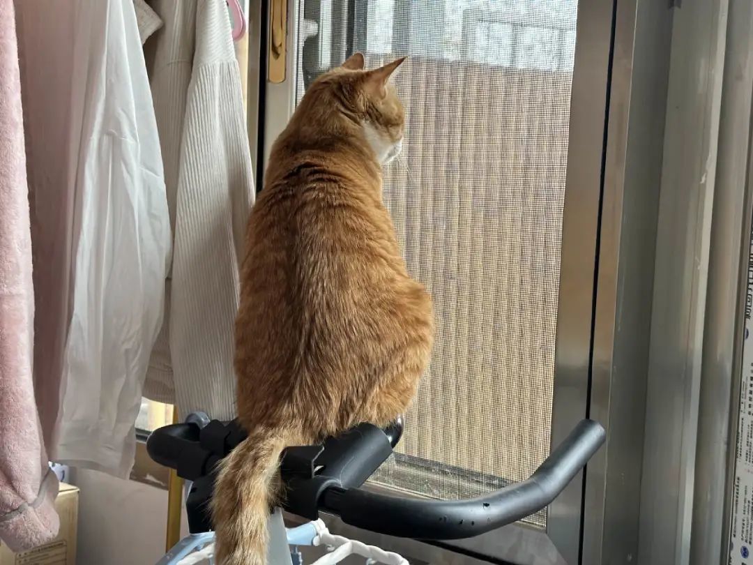 热搜