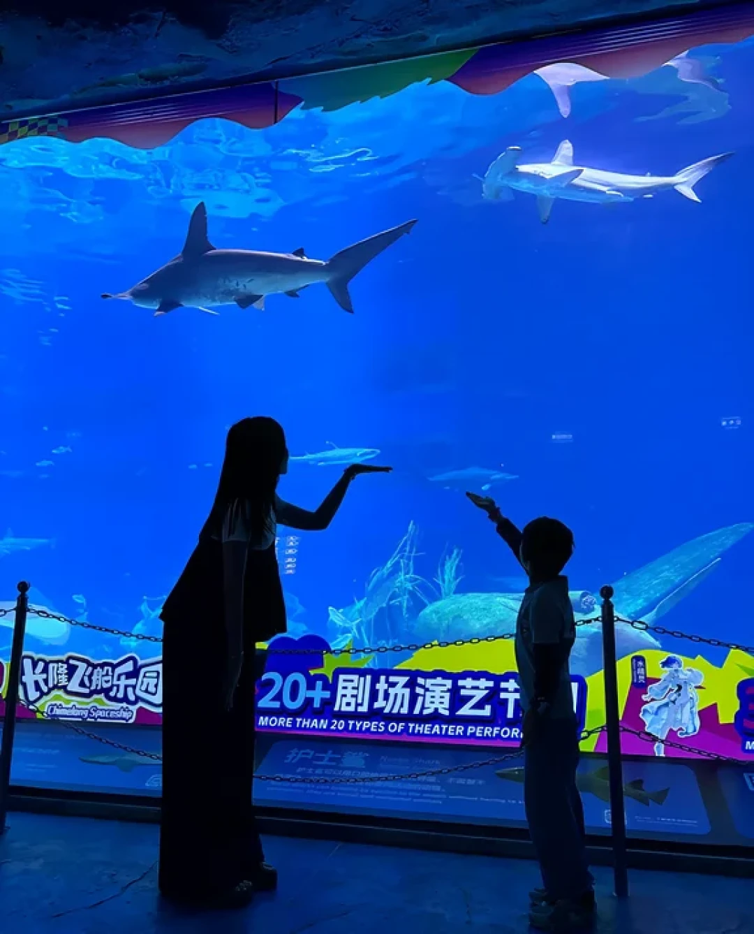 珠海长隆飞船酒店实测：下楼即乐园，优缺点一次说清