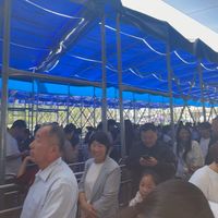 起早贪黑来排队 只为了稍等一会