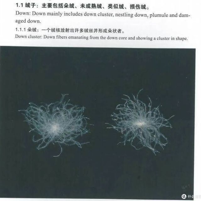 双11迪卡侬、伯希和把户外羽绒卷进百元档：是捡漏，还是飞丝面包服？