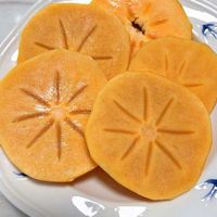 柿子中的战斗机，替大家找到了！