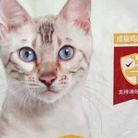 冠能猫粮性价比与适口性实测