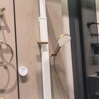 订单里没写的戴森不算数：双11科勒到店价，签单前把三行字补上