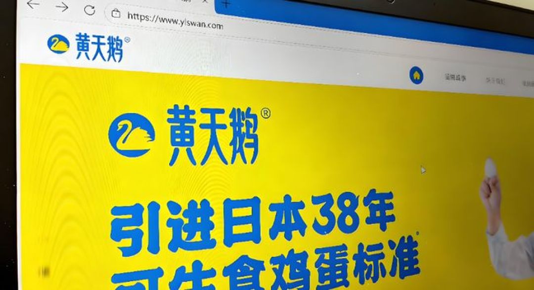 双11黄天鹅的蛋卡