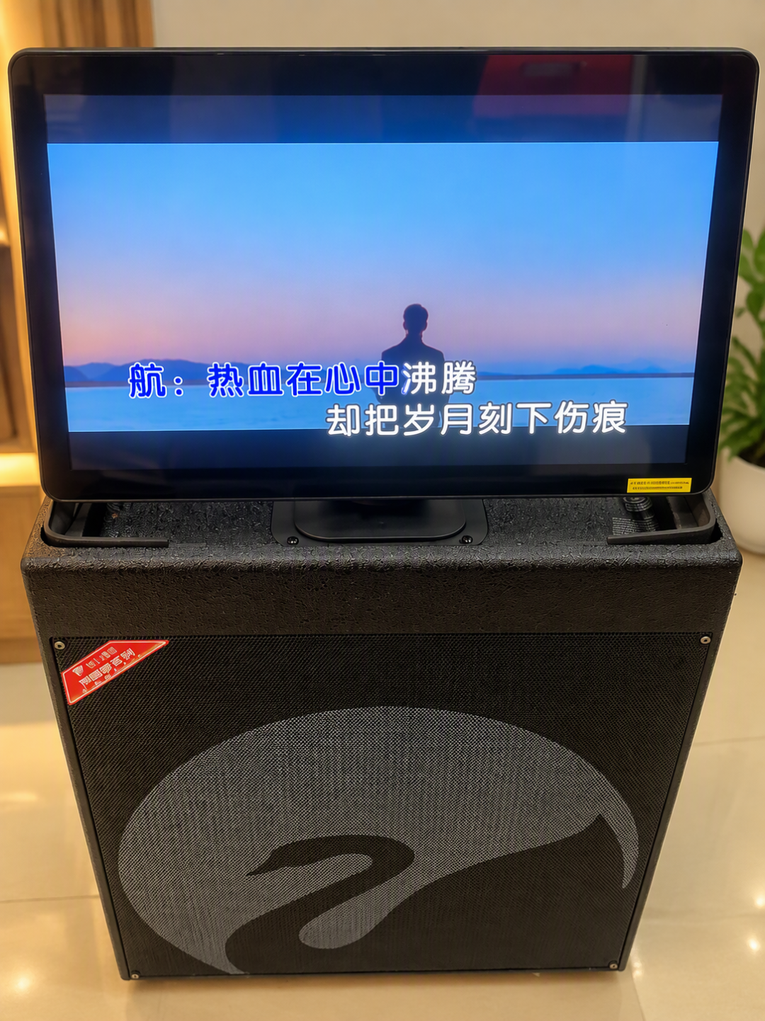 到手惠威别急着K歌：两条路线、三条红线，先保喇叭再保嗓