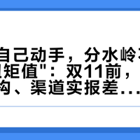 骑车人自己动手，分水岭不是维拉是"扭矩值"：双11前，把三种扭矩机构、渠道实报差价和那把 9.9 的账一起算清