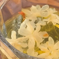 十款好喝又香的茉莉花茶推荐｜双 11 照着囤不踩雷！