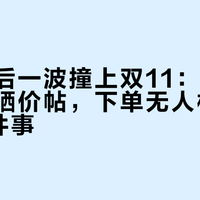 国补最后一波撞上双11：对完二十多条晒价帖，下单无人机前先查这4件事