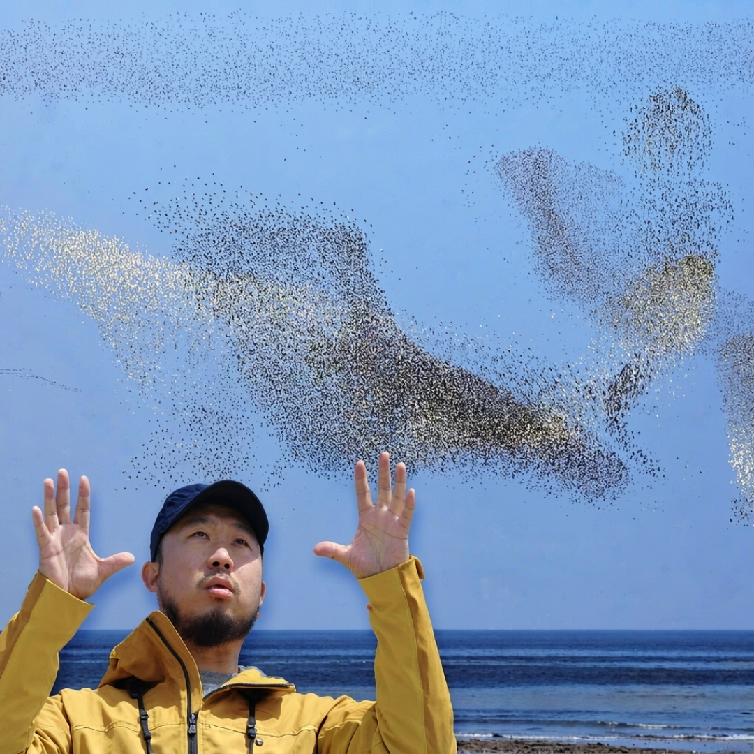 鸟浪开板，无人机先被