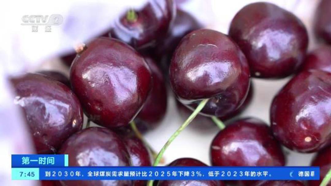 头批100-200元一斤,空运尝鲜先别急!本季的3个真正出手窗口