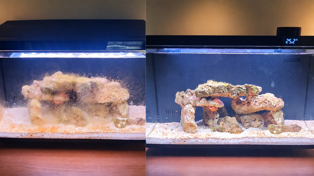 用尼特利智能缸第一批下海的人,交完学费才写出这份补课清单