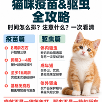 新手必看！猫咪疫苗&amp;驱虫全攻略