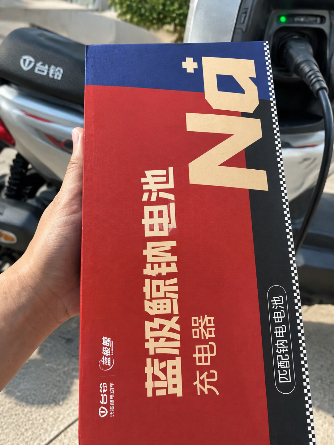 台铃钠电池要过第一个冬天：晒130的和见98的，先看懂充电这3个坑