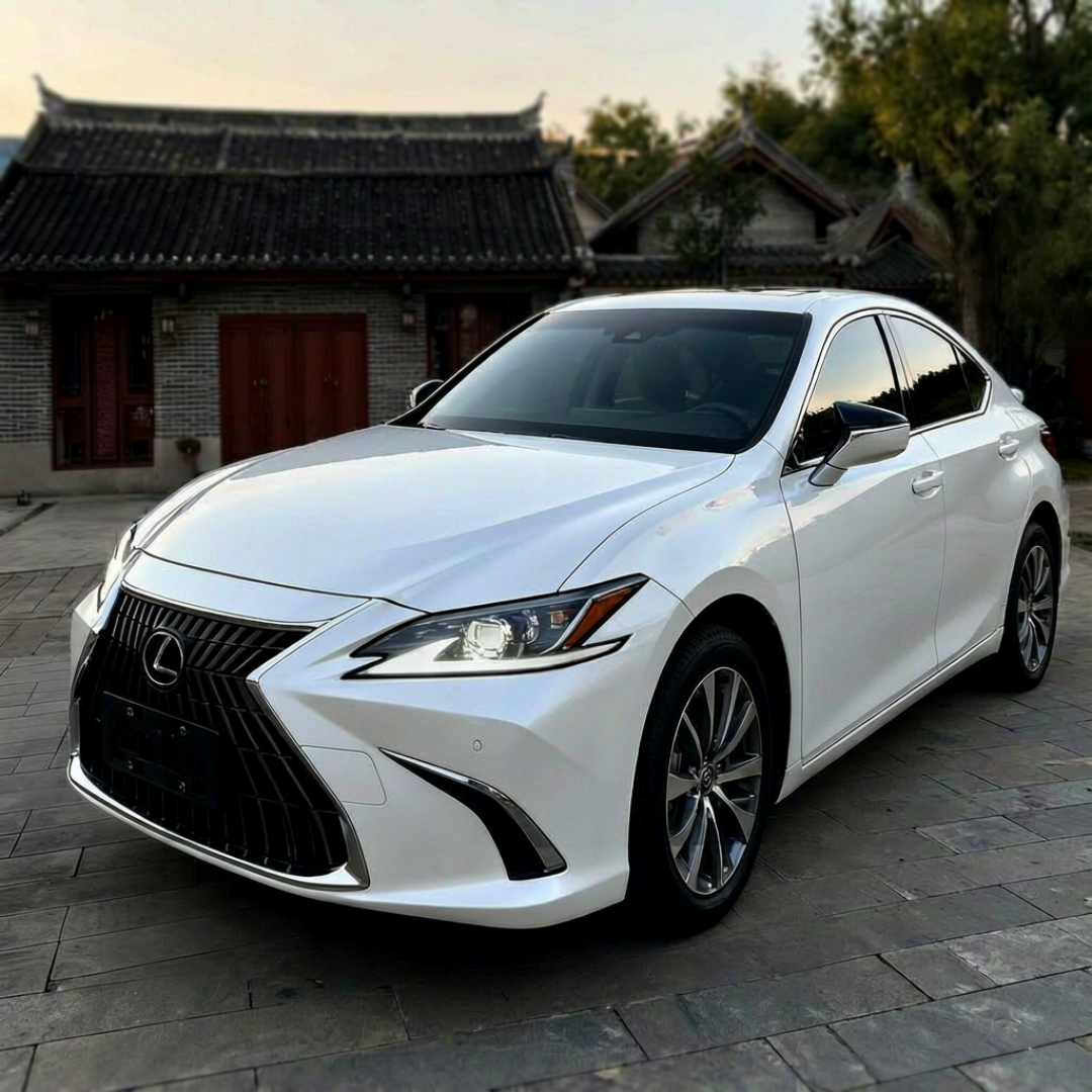 ES200一条视频15381个赞、后悔帖378条评论、经销商发帖自问成败:2026年进店买雷车的三类人,先把身份对清楚