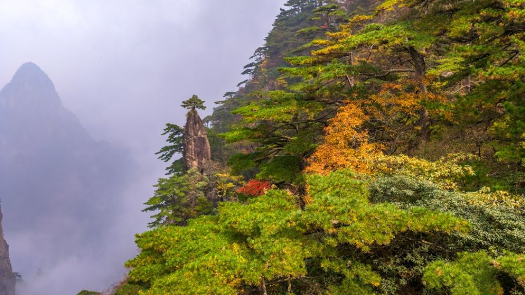 香山