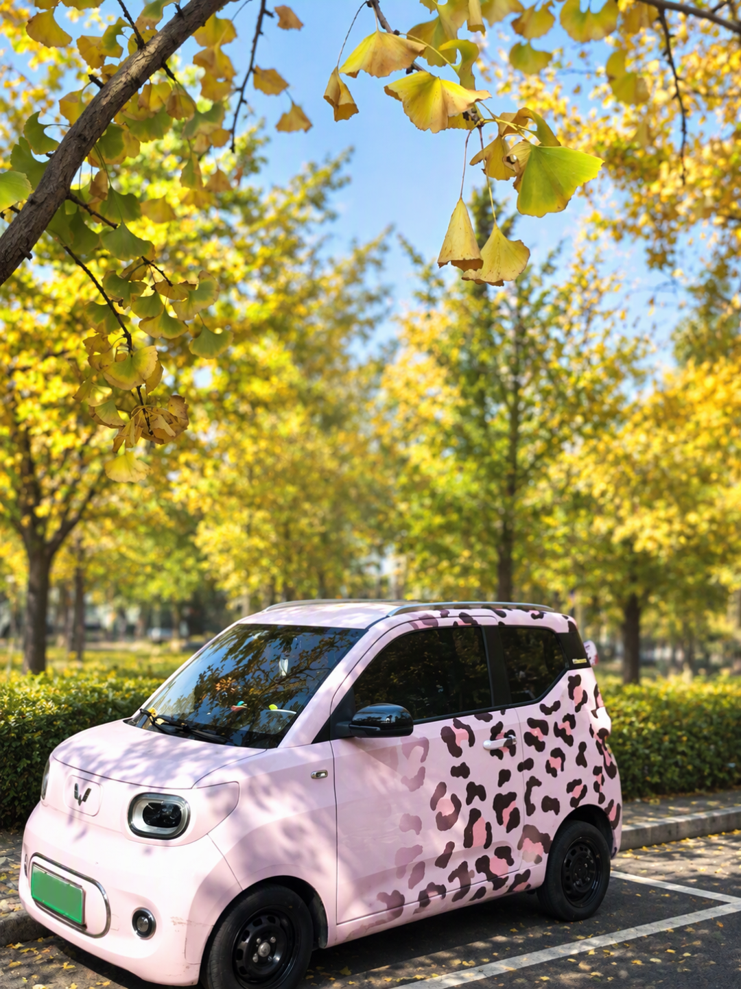 5万的小车