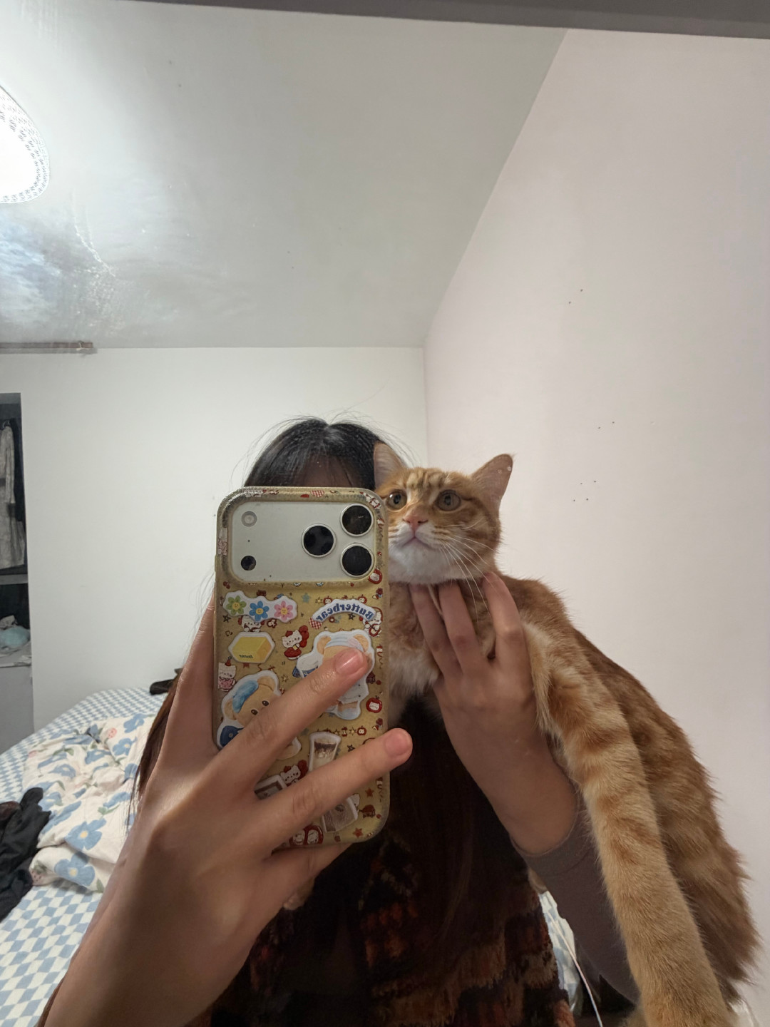 宠物店员工给猫洗澡被咬穿手指,在家洗的秋冬攻略:先少洗、再吹干