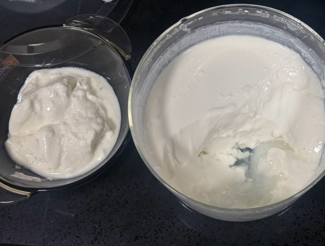 自制酸奶变粉了？别刮刮表面留着做引子，粘质沙雷氏菌怕杀菌不怕刮