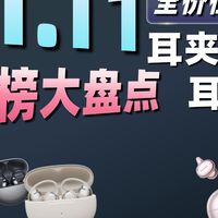 【11.11全价位耳夹推荐】