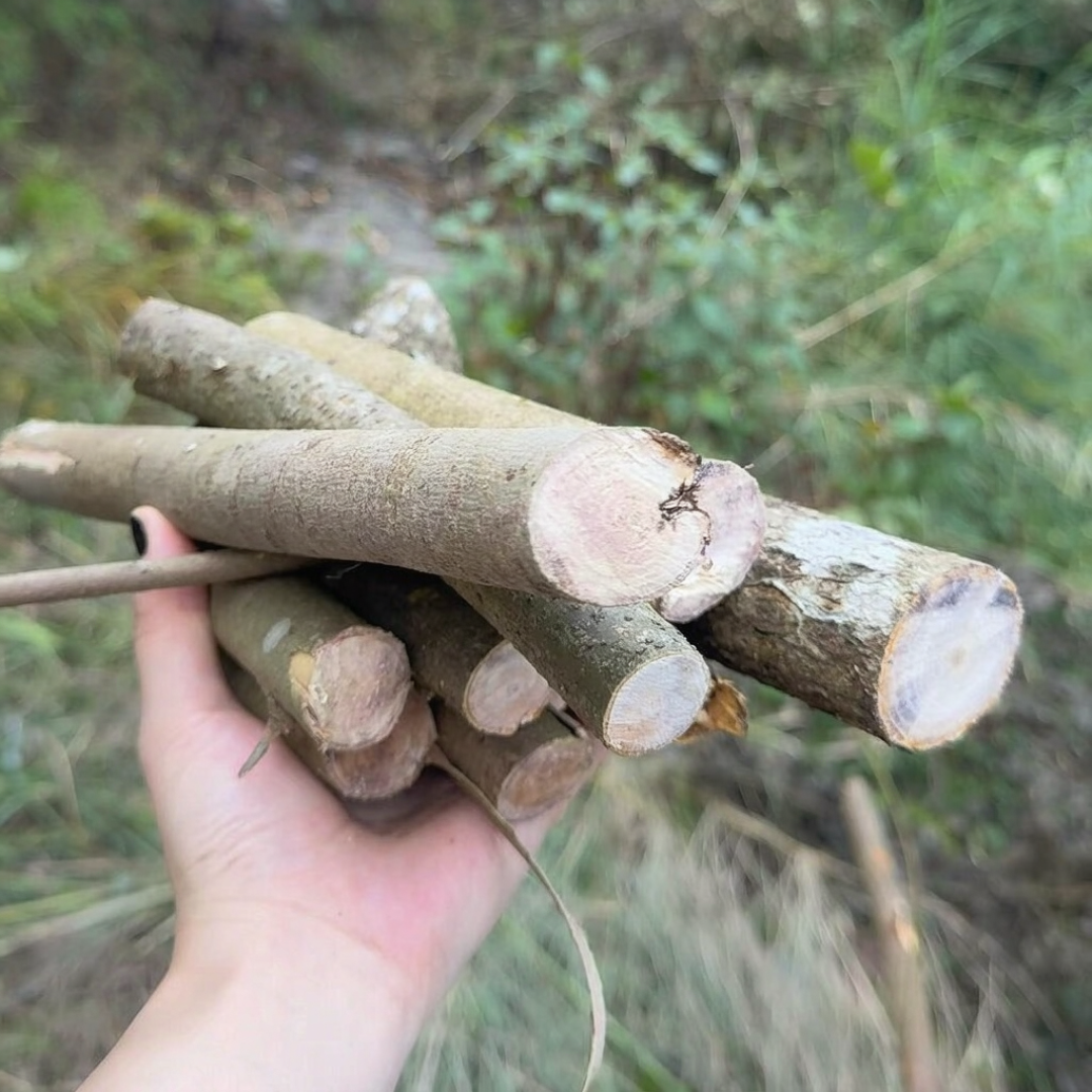 今年秋天全网都在