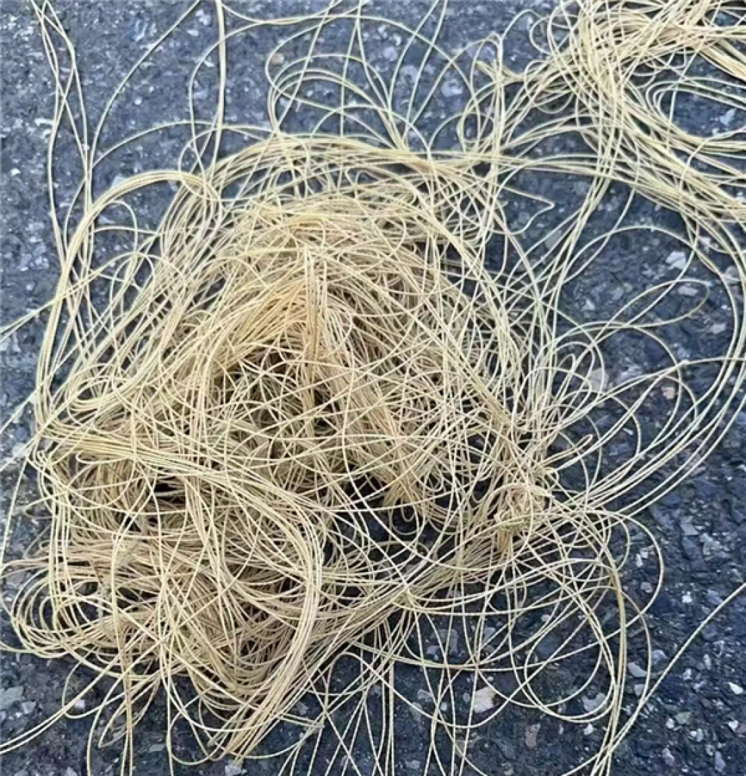 杀伤力惊人 行车途中车顶激光雷达被风筝线割开！车主：定损1.5万元