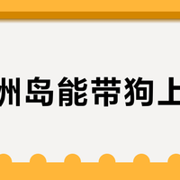 蜈支洲岛能带狗上岛了？今冬自驾去海南，轮渡、酒店、登岛的实测账本一次算清