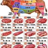 菜市场挑牛肉指南｜不同部位适合什么做法