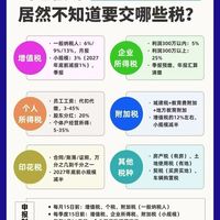 当老板的居然不知道要交哪些税？