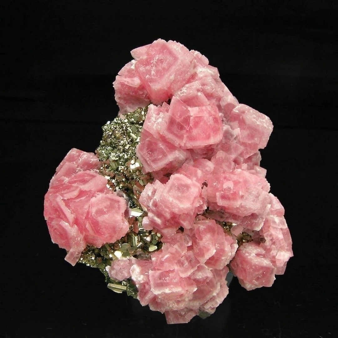 第一块矿标到手就后悔？矿展季入坑，先绕过这三个坑