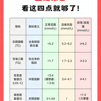 血脂报告别瞎百度！4个核心指标大白话讲透，有箭头也别先慌