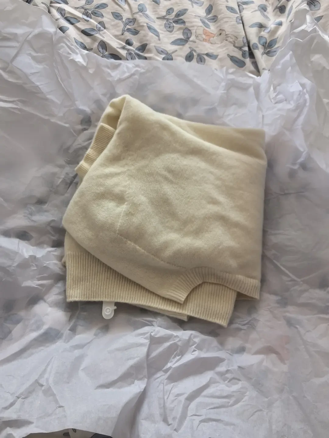 越是贵的衣服越容易被啃出洞？翻出冬装先认清3种虫，再决定樟脑丸塞不塞