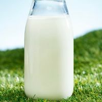 减肥就喝脱脂牛奶？牛奶大揭秘：全脂、低脂、脱脂，哪种更适合你
