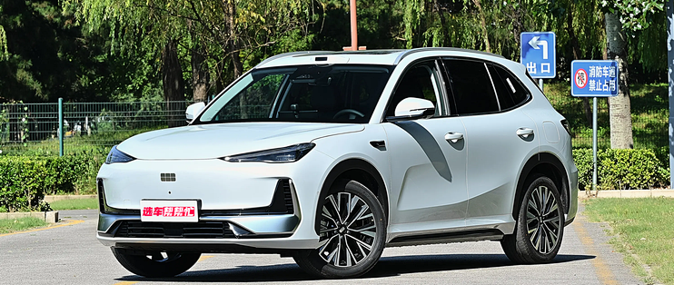 十万级纯电 SUV，最近卷的挺过劲儿吧🚗