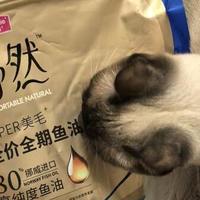 麦富迪舒然猫粮实喂分享，高纯深海鱼油搭果蔬纤维，效果行不行？