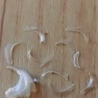 地上那瓣"猫指甲"是旧外套：掉了别慌，一直不掉才要留意