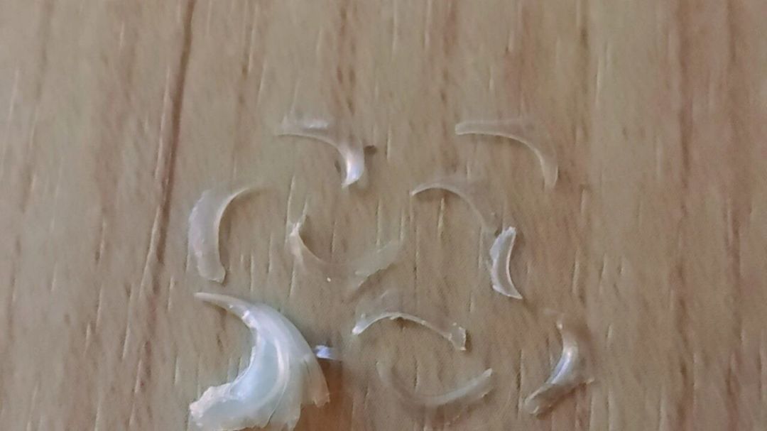 地上那瓣"猫指甲"是旧外套:掉了别慌,一直不掉才要留意