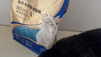 麦富迪舒然猫粮实测，高纯挪威鱼油深入发根，对猫咪掉毛有作用吗