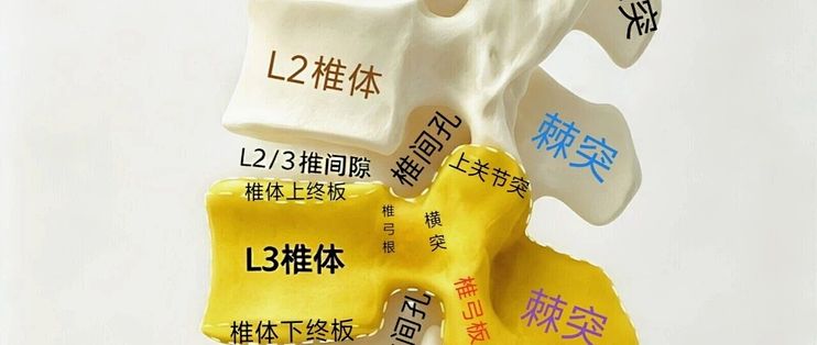 38岁坐9小时站起直不起身：先测疼在哪，酸胀能练刺痛别练