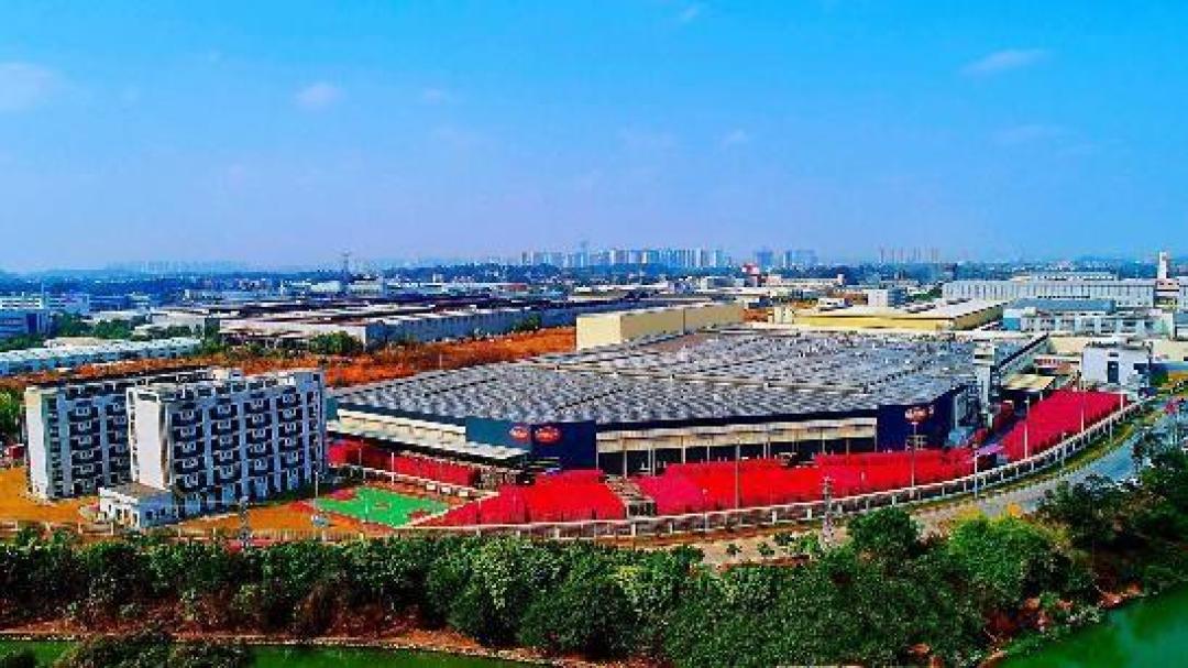 25吨维他饮料被拦在深圳口岸：拦的是水货，超市柠檬茶不走这条路